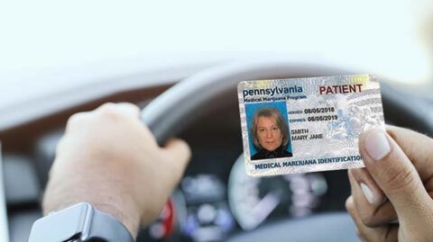 Woman looking at her medical marijuana card while driving